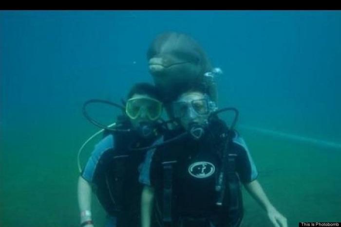 "He alcanzado la categoría de meme. ¿Cuántas personas pueden decir eso" (FOTOS, MONTAJES)