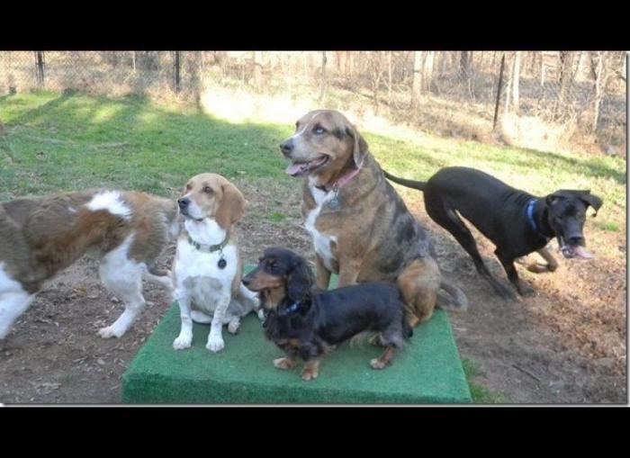 "He alcanzado la categoría de meme. ¿Cuántas personas pueden decir eso" (FOTOS, MONTAJES)