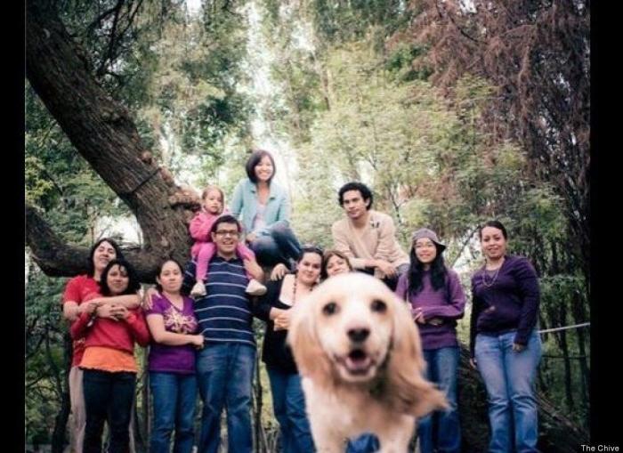 "He alcanzado la categoría de meme. ¿Cuántas personas pueden decir eso" (FOTOS, MONTAJES)