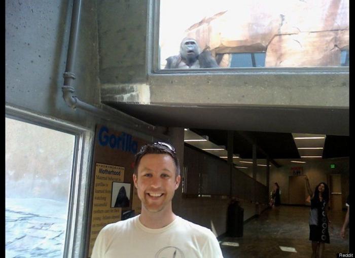 "He alcanzado la categoría de meme. ¿Cuántas personas pueden decir eso" (FOTOS, MONTAJES)