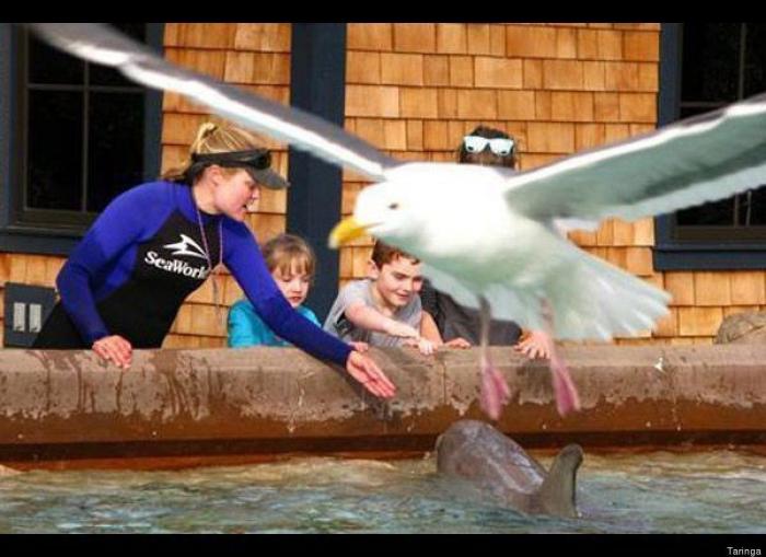 "He alcanzado la categoría de meme. ¿Cuántas personas pueden decir eso" (FOTOS, MONTAJES)
