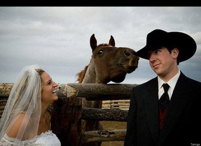 "He alcanzado la categoría de meme. ¿Cuántas personas pueden decir eso" (FOTOS, MONTAJES)