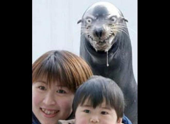 "He alcanzado la categoría de meme. ¿Cuántas personas pueden decir eso" (FOTOS, MONTAJES)