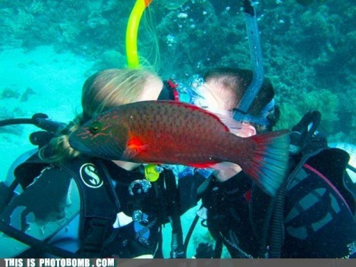 "He alcanzado la categoría de meme. ¿Cuántas personas pueden decir eso" (FOTOS, MONTAJES)