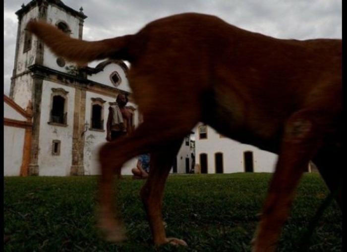 "He alcanzado la categoría de meme. ¿Cuántas personas pueden decir eso" (FOTOS, MONTAJES)