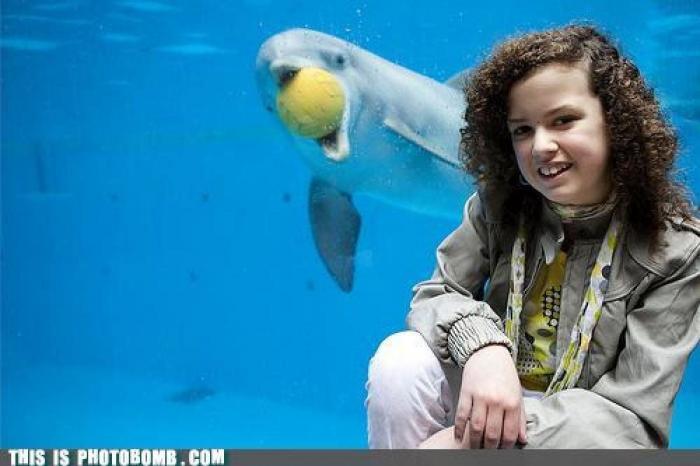 "He alcanzado la categoría de meme. ¿Cuántas personas pueden decir eso" (FOTOS, MONTAJES)