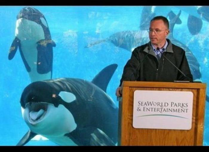 "He alcanzado la categoría de meme. ¿Cuántas personas pueden decir eso" (FOTOS, MONTAJES)