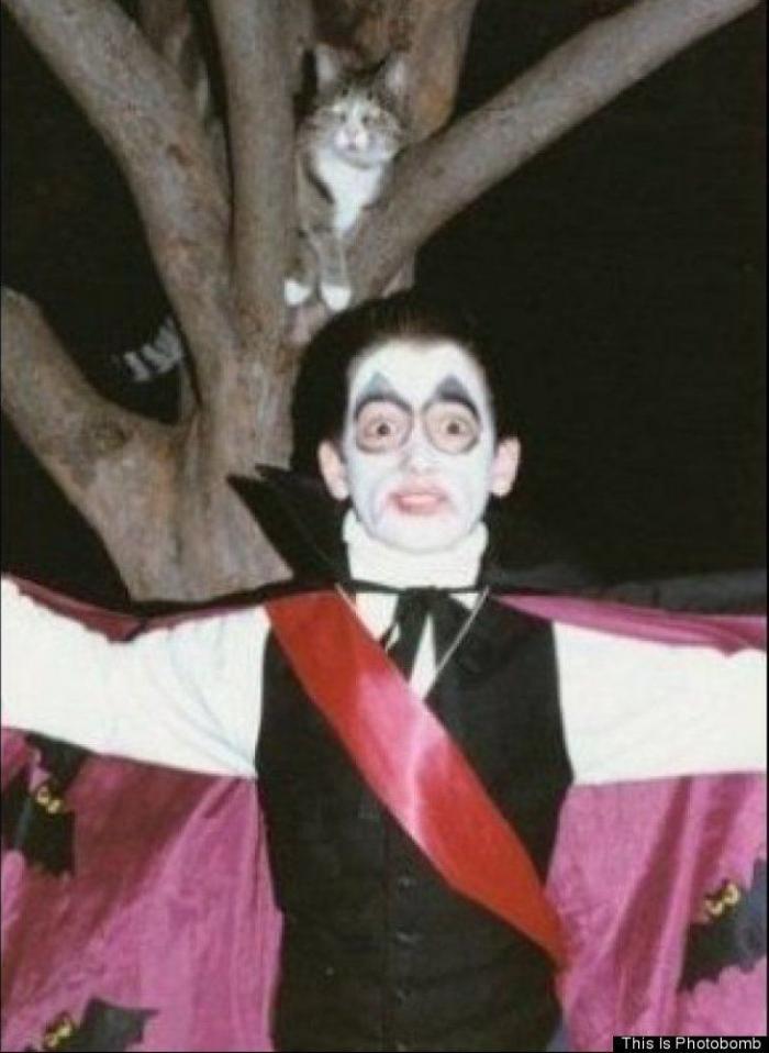 "He alcanzado la categoría de meme. ¿Cuántas personas pueden decir eso" (FOTOS, MONTAJES)