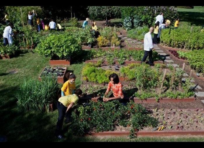 Pinterest, la red social discreta que sube como la espuma