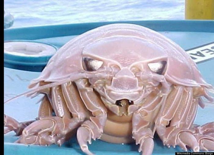 El plástico está matando a los océanos mucho más rápido de lo que se pensaba