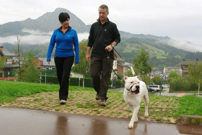 Elecciones País Vasco: Dimite Mikel Arana, coordinador general de Ezker Anitza-IU
