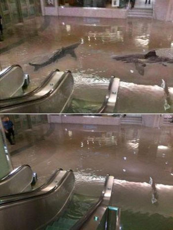 Huracán Sandy: reporteros que se mojaron para retransmitir su llegada (VÍDEOS)