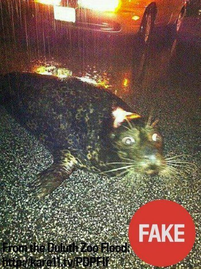 Huracán Sandy: reporteros que se mojaron para retransmitir su llegada (VÍDEOS)