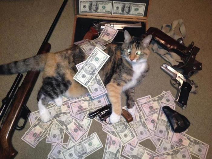 Jan Fabre: otra polémica del artista belga por su vídeo de lanzamiento de gatos (FOTOS)