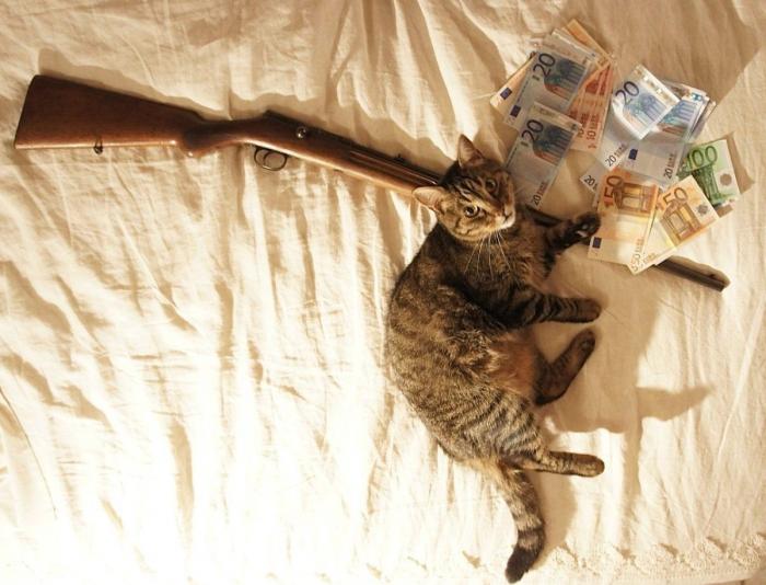 Jan Fabre: otra polémica del artista belga por su vídeo de lanzamiento de gatos (FOTOS)