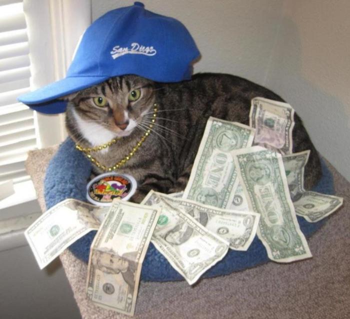 Jan Fabre: otra polémica del artista belga por su vídeo de lanzamiento de gatos (FOTOS)