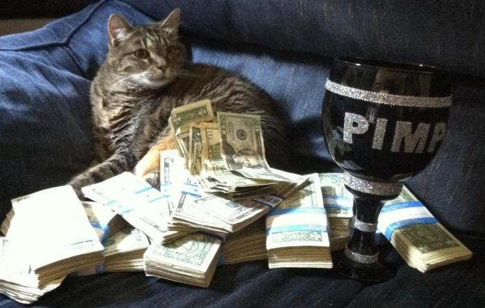 Jan Fabre: otra polémica del artista belga por su vídeo de lanzamiento de gatos (FOTOS)