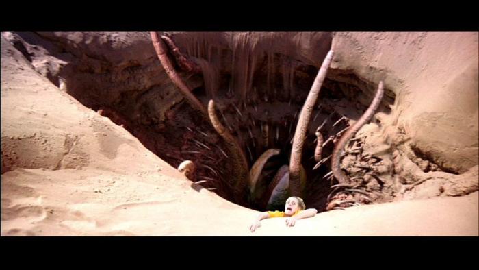 "Mi madre está preocupada por mi viaje": los montajes de la foto con truco en el Gran Cañón (FOTOS)