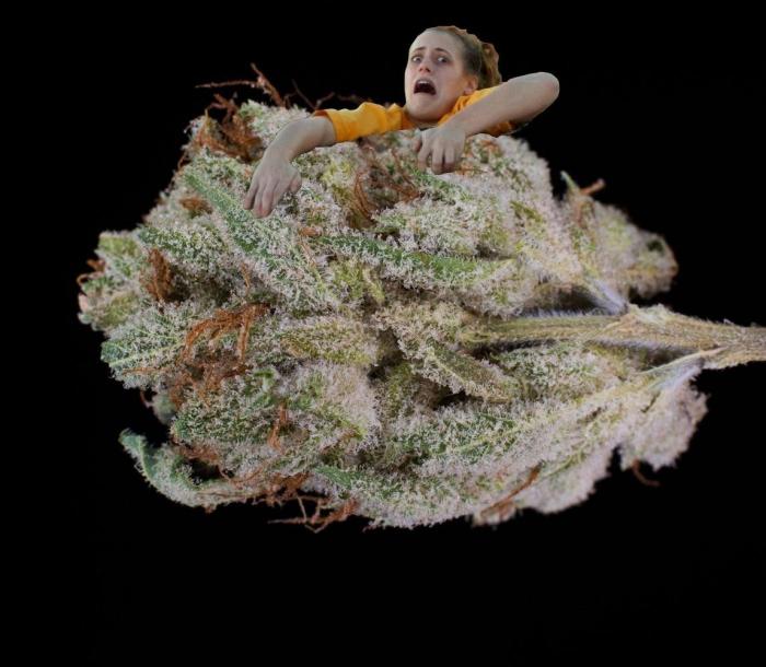 "Mi madre está preocupada por mi viaje": los montajes de la foto con truco en el Gran Cañón (FOTOS)