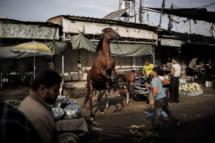 Hamás mata a seis palestinos a los que acusaba de colaborar con Israel