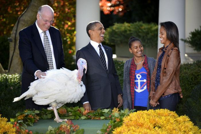 El pavo de Obama: Cobber, el primer animal indultado por Facebook en Acción de Gracias