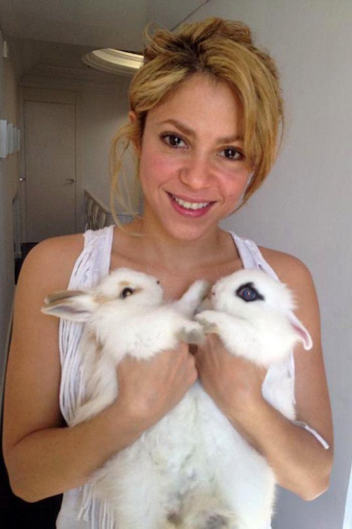 Famosas sin maquillaje: Cameron Diaz (FOTOS)