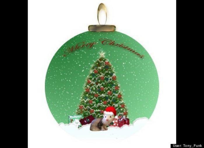 ¿Qué hacen un tigre o un león si les dejas una caja de cartón? El mejor vídeo de bichinos de la semana (VÍDEO)