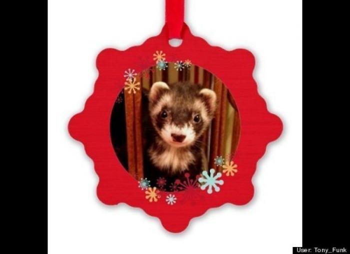 ¿Qué hacen un tigre o un león si les dejas una caja de cartón? El mejor vídeo de bichinos de la semana (VÍDEO)