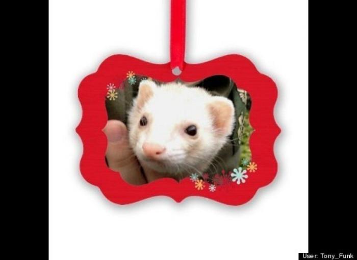 ¿Qué hacen un tigre o un león si les dejas una caja de cartón? El mejor vídeo de bichinos de la semana (VÍDEO)