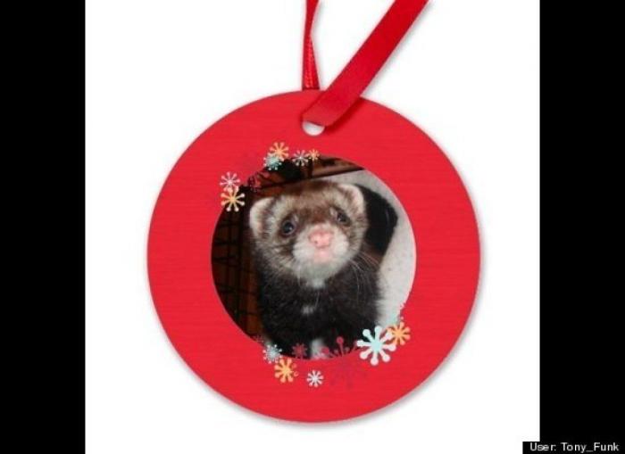 ¿Qué hacen un tigre o un león si les dejas una caja de cartón? El mejor vídeo de bichinos de la semana (VÍDEO)