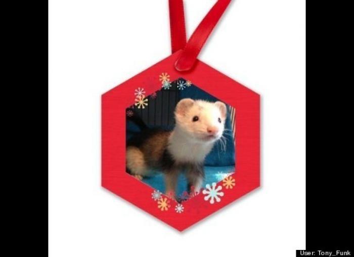 ¿Qué hacen un tigre o un león si les dejas una caja de cartón? El mejor vídeo de bichinos de la semana (VÍDEO)