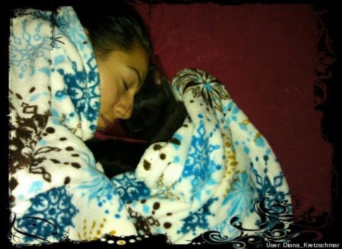 ¿Qué hacen un tigre o un león si les dejas una caja de cartón? El mejor vídeo de bichinos de la semana (VÍDEO)