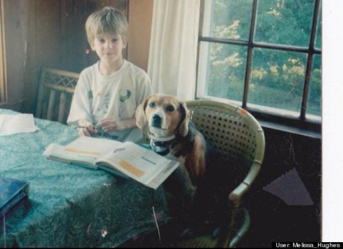¿Qué hacen un tigre o un león si les dejas una caja de cartón? El mejor vídeo de bichinos de la semana (VÍDEO)