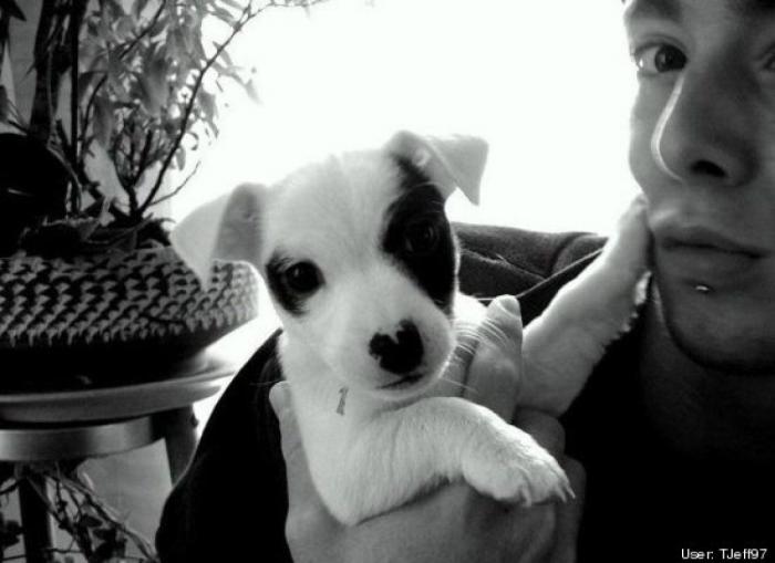 ¿Qué hacen un tigre o un león si les dejas una caja de cartón? El mejor vídeo de bichinos de la semana (VÍDEO)