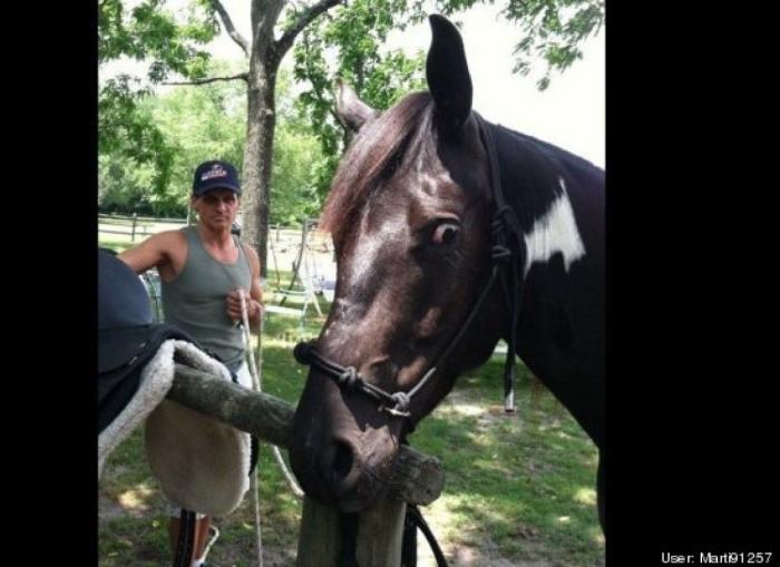 ¿Qué hacen un tigre o un león si les dejas una caja de cartón? El mejor vídeo de bichinos de la semana (VÍDEO)