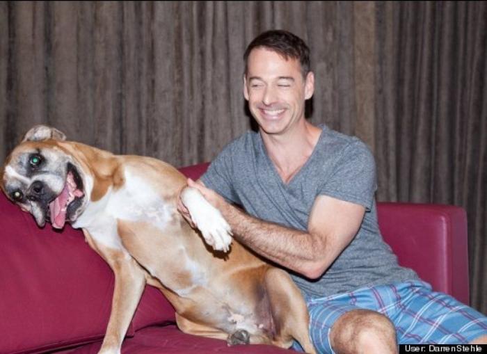 ¿Qué hacen un tigre o un león si les dejas una caja de cartón? El mejor vídeo de bichinos de la semana (VÍDEO)