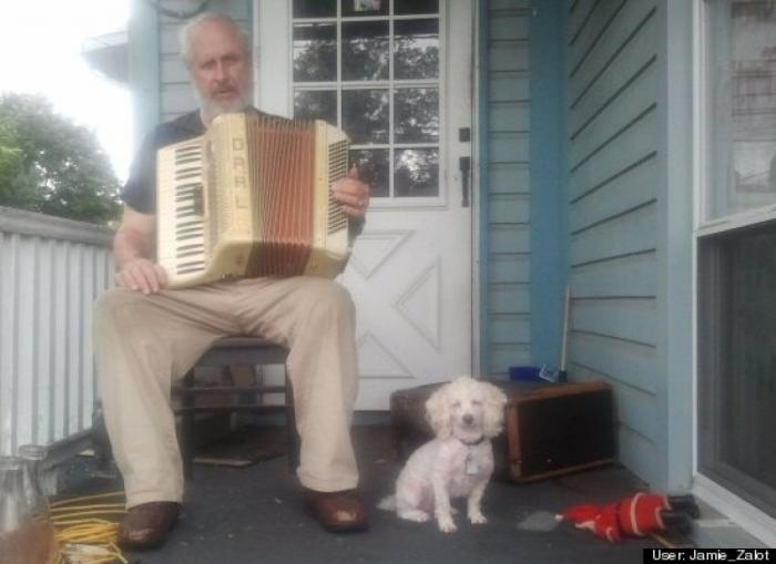 ¿Qué hacen un tigre o un león si les dejas una caja de cartón? El mejor vídeo de bichinos de la semana (VÍDEO)