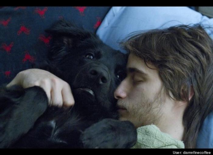 ¿Qué hacen un tigre o un león si les dejas una caja de cartón? El mejor vídeo de bichinos de la semana (VÍDEO)