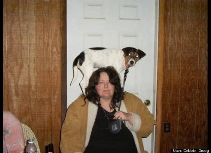 ¿Qué hacen un tigre o un león si les dejas una caja de cartón? El mejor vídeo de bichinos de la semana (VÍDEO)