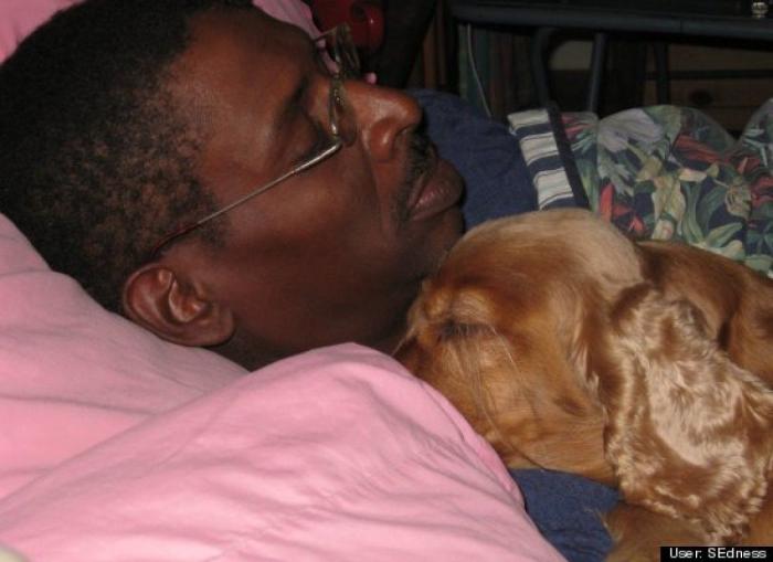 ¿Qué hacen un tigre o un león si les dejas una caja de cartón? El mejor vídeo de bichinos de la semana (VÍDEO)