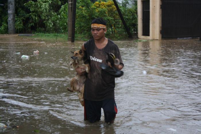 El tifón 'Bopha' deja al menos 238 muertos a su paso por Filipinas (FOTOS)