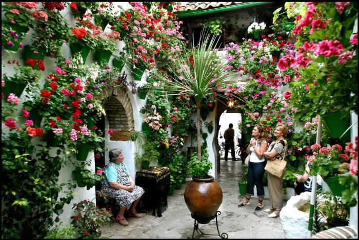 Los patios cordobeses ya son Patrimonio de la Humanidad (FOTOS)