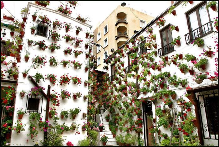 Los patios cordobeses ya son Patrimonio de la Humanidad (FOTOS)