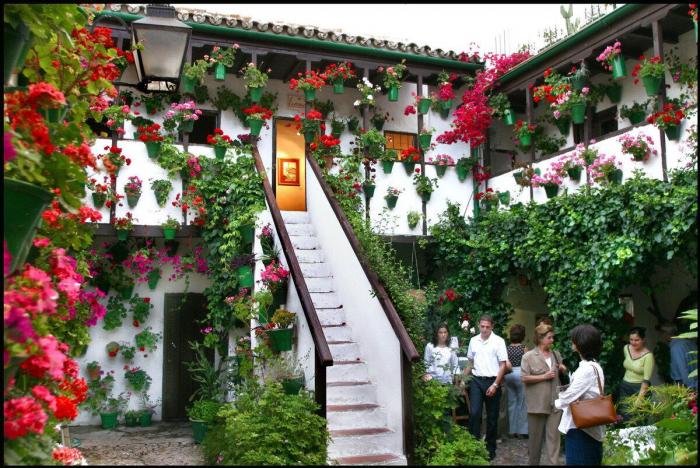 Los patios cordobeses ya son Patrimonio de la Humanidad (FOTOS)