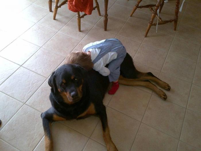 El vídeo que da la vuelta al mundo: la reacción de una burra tras dos meses sin ver a su dueño