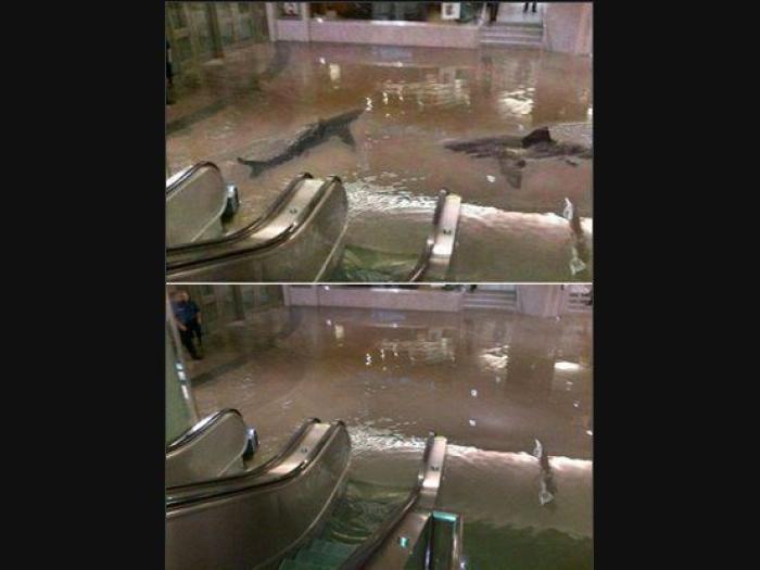 Nevaeh Atkins: la imagen del bebé agarrando con su mano el dedo del cirujano en plena cesárea se hace viral (FOTO)