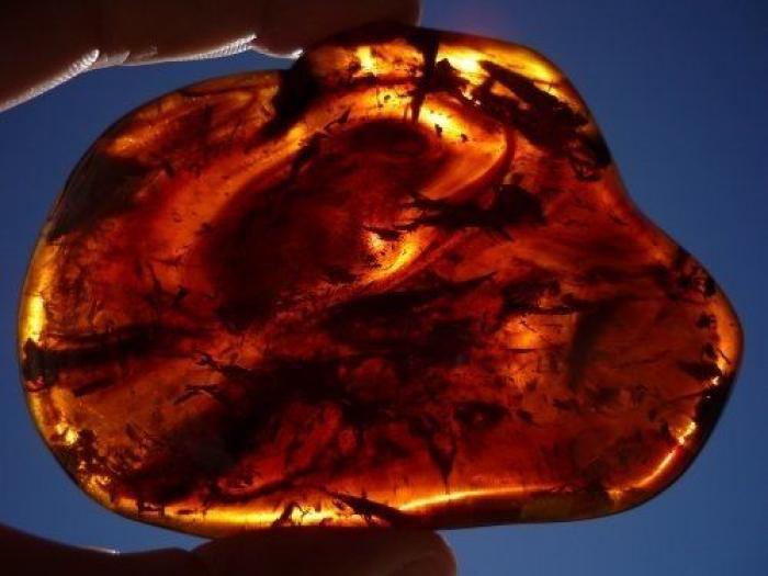 Qué debes hacer cuando te pica un bicho para que el habón no te moleste