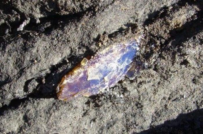 Qué debes hacer cuando te pica un bicho para que el habón no te moleste