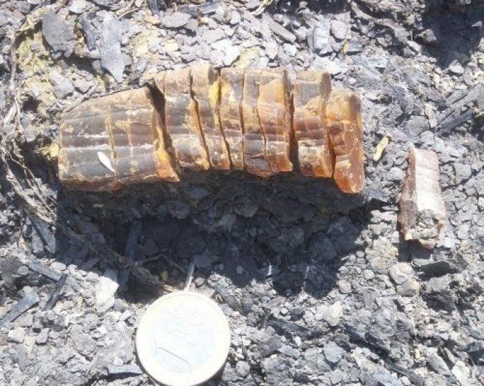 Qué debes hacer cuando te pica un bicho para que el habón no te moleste