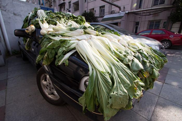 Ropa, colchas, verdura, pescado: 15 formas de poner las cosas a secar en China (FOTOS)